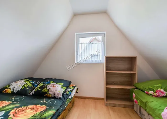 ,,zagroda Nowecin,, 山林小屋 Nowecin